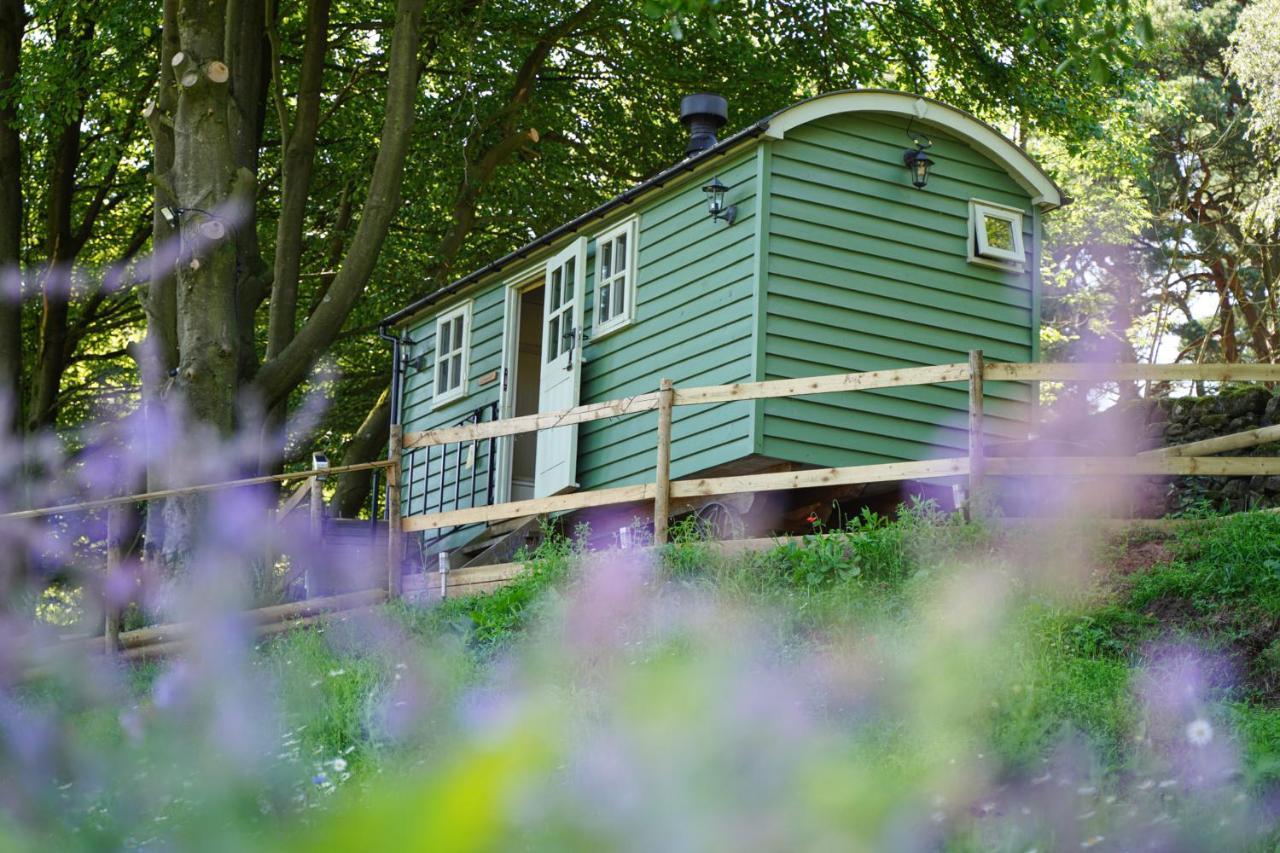 Upper Hulme Lavender Retreat With Private Hot Tubゲストハウス エクステリア 写真