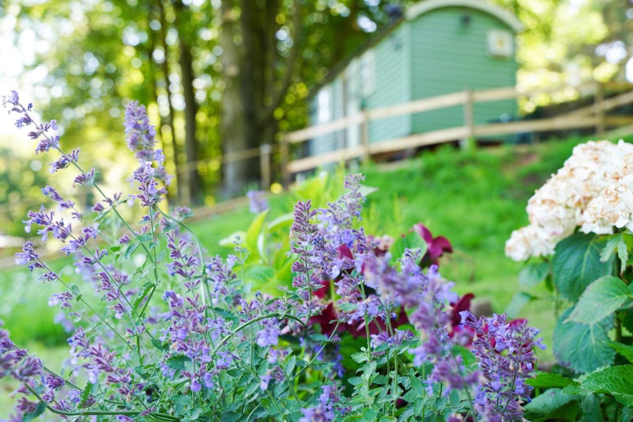Upper Hulme Lavender Retreat With Private Hot Tubゲストハウス エクステリア 写真